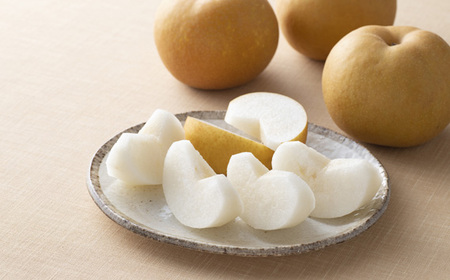 No.294 【先行予約】シャインマスカット1房と梨5個【茨城県共通返礼品 かすみがうら市】