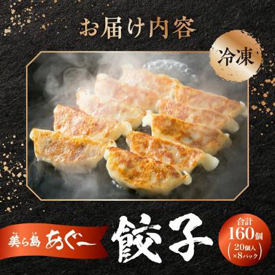 ふるさと納税 南城市 【美ら島あぐー】餃子(160個入り/8パック×20個入り) |  | 03