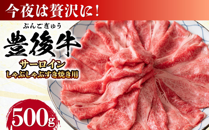 【厳選部位】おおいた豊後牛 サーロイン しゃぶしゃぶすき焼き用 500g すき焼き 日田市 / 株式会社MEAT PLUS　牛 うし 黒毛和牛 和牛 豊後牛 [AREI016]