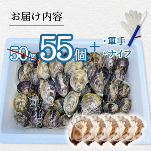 先行予約 あまべ牡蠣 55個 牡蠣 シングルシード 生食用 殻付き かき カキ オイスター 生ガキ 生牡蠣 生がき 生かき ギフト 貝 旨味 【2025年12月発送】