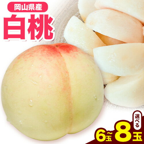 【ふるさと納税】先行受付 岡山県産 白桃（1玉　220g以上8玉入りロイヤル）令和8年産 《2026年7月中旬-8月下旬頃出荷》 【配送不可地域あり】