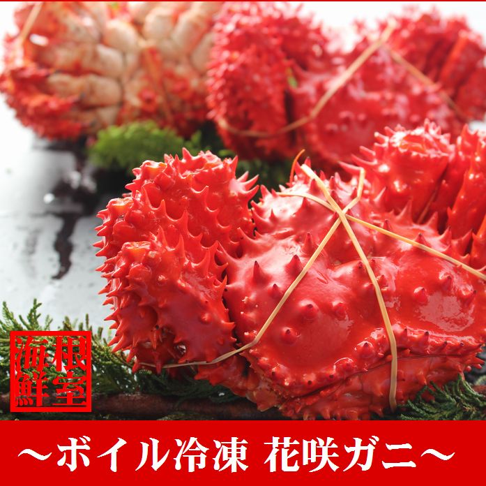 【ふるさと納税】 [北海道根室産] 花咲ガニ 510 〜 600g × 4 尾 花咲がに 花咲 花咲かに 花咲蟹 かに カニ 蟹 お取り寄せ グルメ 海鮮 ボイル 茹で蟹 茹でがに 茹でガニ 北海道 根室市 ふるさと納税 B-57003
