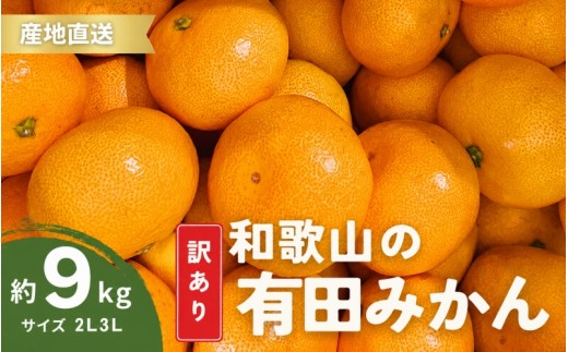 
                  家庭用 有田みかん 和歌山 訳あり わけあり 大玉(2L,3Lサイズ混合) 9kg【11月上旬～1月下旬頃に順次発送】/ みかん フルーツ 果物 くだもの 有田みかん 蜜柑 柑橘【ktn012B】
                