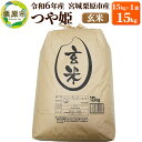 【ふるさと納税】【令和6年産・玄米】宮城県栗原市産 つや姫 15kg (15kg×1袋)