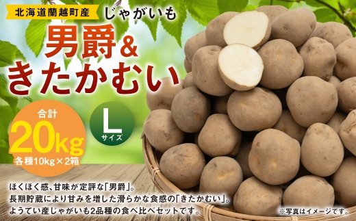 じゃがいも （ 男爵 ） Lサイズ 約10kg × 1箱 ・ じゃがいも （ きたかむい ） Lサイズ 約10kg × 1箱 （ JA ） 計約20kg ジャガイモ ポテト いも イモ 芋 男爵イモ 野菜 やさい 食べ比べ 詰め合わせ セット 国産 北海道産 【 2027年1月上旬～2月下旬迄発送予定 】