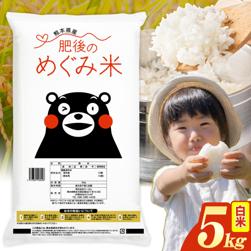 白米 熊本県産 ブレンド米 肥後のめぐみ米 5kg 《7-14日以内に出荷(土日祝除く)》熊本県産 ふるさと納税 精米 米 こめ ふるさとのうぜい コメ お米 おこめ