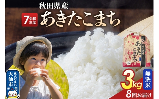 《定期便8ヶ月》あきたこまち【無洗米】3kg 秋田県産 令和7年産 こまちライン 秋田県 大仙市産 [こまちライン あきたこまち ブランド米 お米 白米 精米 無洗米 米どころ 秋田 秋田県産]