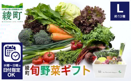 綾町旬野菜ギフト〈 Lサイズ/約13種 〉4人以上分 産地直送 野菜セット 詰め合わせ 新鮮 有機栽培 旬 採れたて 野菜 新鮮野菜 人参 トマト じゃがいも 玉ねぎ きゅうり さつまいも 芋 ねぎ 小松菜 大根 ほうれん草 キャベツ キノコ等 送料無料 【オーガニックのまち 宮崎県綾町】