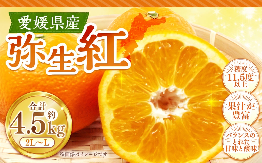 
                  弥生紅 約4.5kg みかん ミカン くだもの 果物 フルーツ 柑橘 柑橘系 柑橘類 果実 果汁 果肉 国産 【 2027年3月上旬発送予定 】 ( 1123 )
                