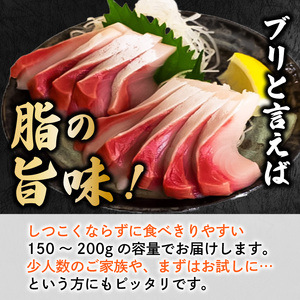 【 ぶり 】 ぶり刺身150g 天然 鰤
