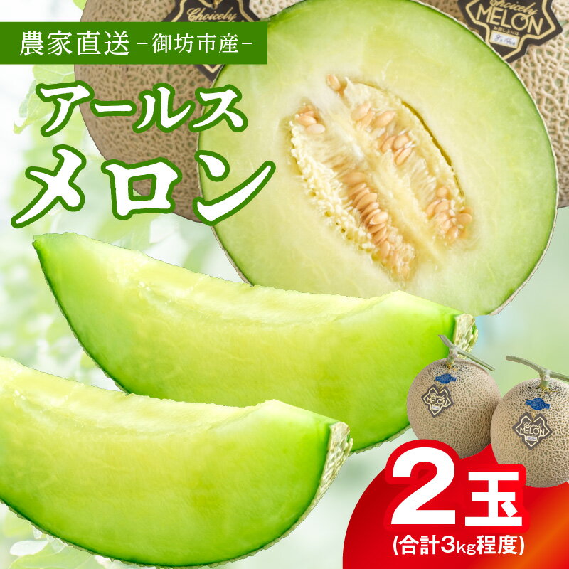 【ふるさと納税】農家直送!和歌山県御坊市産アールスメロン2玉≪先行予約 2025年7月より順次発送分≫ ふるさと納税 メロン 先行予約 ふるさと納税 フルーツ 予約 2玉 くだもの 果物 送料無料 数量限定