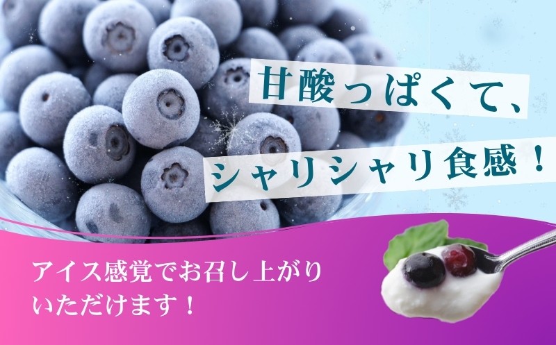 
                  冷凍ブルーベリー　500g or 600ｇ or 1000ｇ 2026年シルクファーム産
                