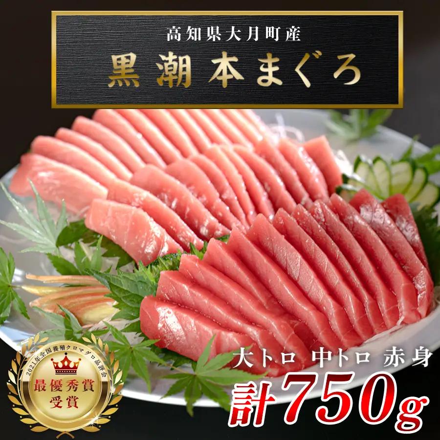 訳あり 不定貫 お正月 贅沢 本マグロ お刺身 3種セット 750g 国産 養殖 黒潮本まぐろ (PT0093_0041)