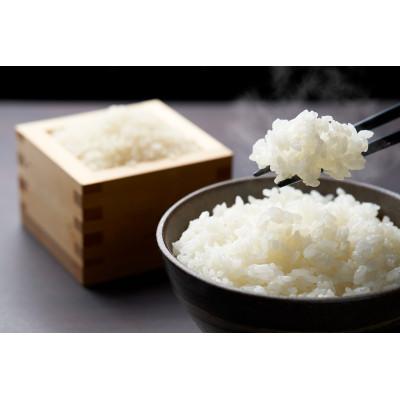 ふるさと納税 宮城県 【令和8年産新米先行予約】めぐりん米(白米) 5kg |  | 01