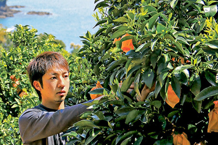 果物 オレンジ みかん ジュース 3種 セット 500ml 計3本 [善果園 長崎県 平戸市 hr42bgy420343]