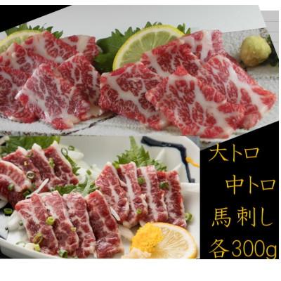 ふるさと納税 荒尾市 【熊本　と畜】大トロ中トロ馬刺し盛り　各300g(計600g)(荒尾市) | 