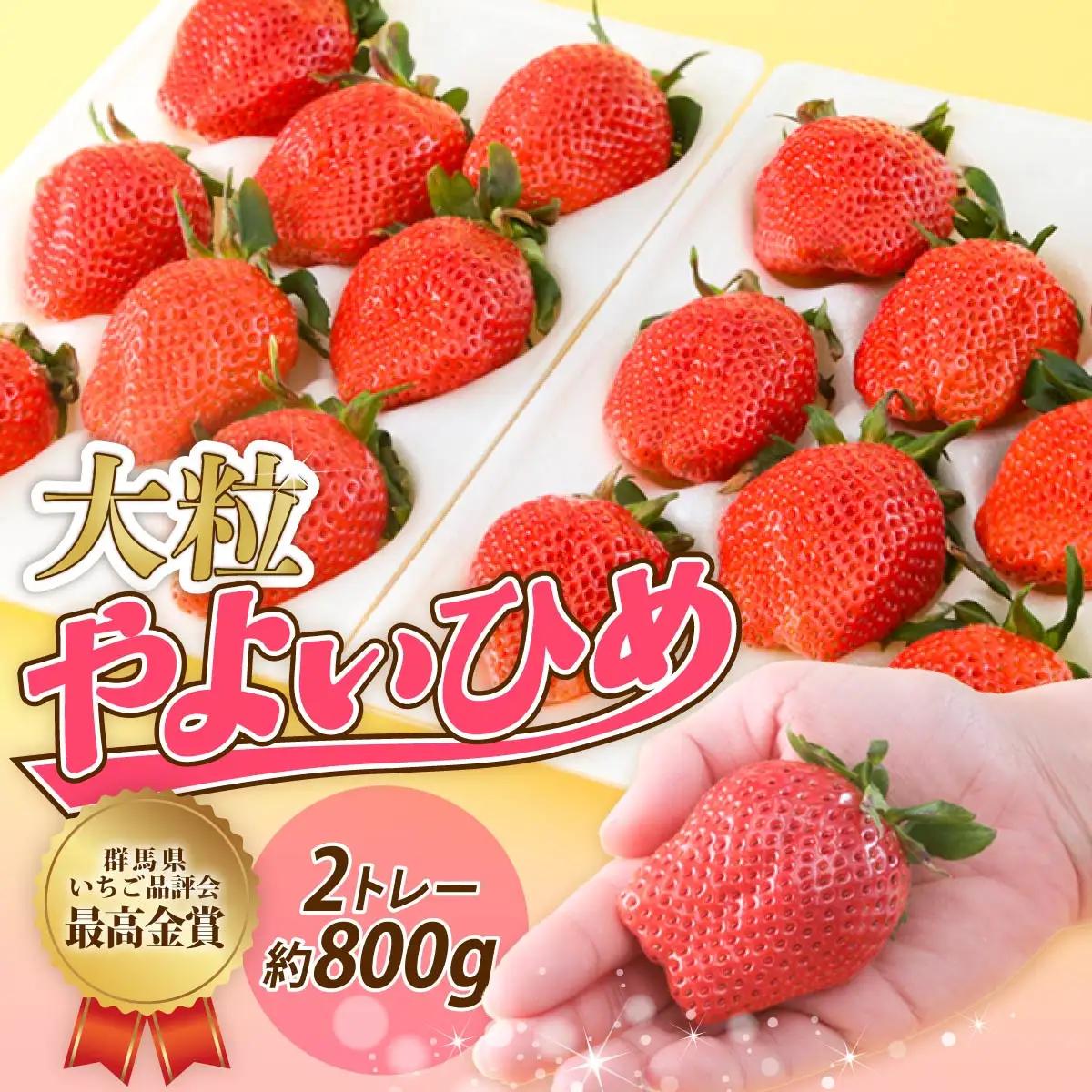 【大粒サイズ】いちご やよいひめ 約800g  | いちご