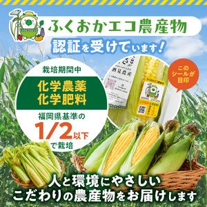 冷凍便！旬の時期に冷凍したSDGs米堆肥で作った博多あまっコーンカット品 4.5キロ以上（12～20本） _ 博多あまっコーン カット 4.5キロ以上 12 ～ 20本 カット品 とうもろこし 国産 