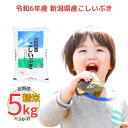 【ふるさと納税】 [定期便5kg×3ヶ月] 令和6年産 新潟県産こしいぶき 計15kg 3か月連続でお届け [株式会社白熊]【016S008】