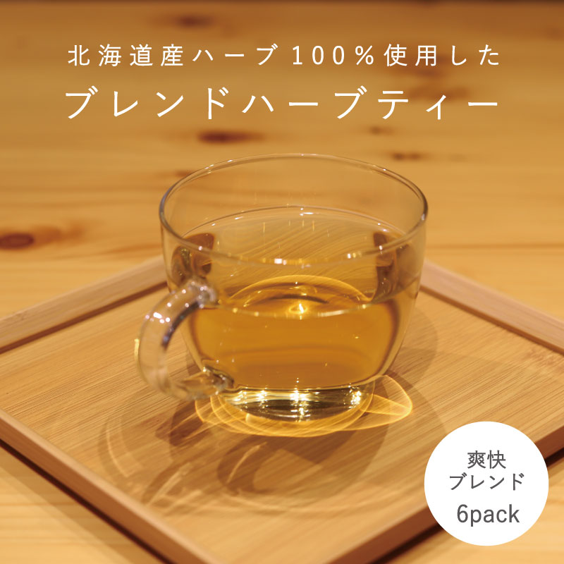 【ふるさと納税】ハーブティー 爽快ブレンド 1袋 6パック入り 北海道産 ハーブ ミント ミントティー 北海道 当麻町 送料無料 3000円 以下 清涼感 爽やか お取り寄せ 3000円以下 4000円以下 5000円以下