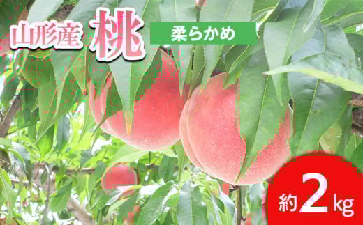 山形の桃 [柔らかめ] 約2kg(4～9個) 【令和7年産先行予約】FS24-661くだもの 果物 フルーツ 山形 山形県 山形市 2025年産