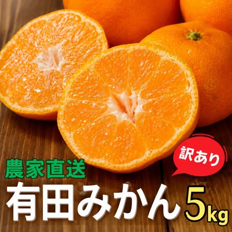 農家直送 有田 みかん 訳あり 5kg 光センサー 選別 / 温州みかん 有田みかん 甘い 家庭用 和歌山 柑橘 ※11月中旬～1月中旬に順次発送 ※北海道・沖縄・離島への配送不可 【nuk004-noka-c5A-fw】