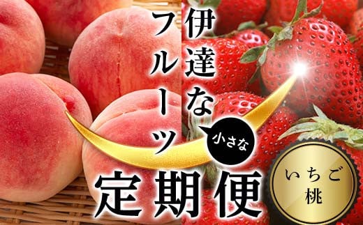 
            ＜2026年から開始の定期便＞伊達な小さなフル－ツ定期便 (いちご約1kg・桃約2kg) 果物 フルーツ 桃 モモ 苺 イチゴ 福島県 伊達市 F21C-018
          