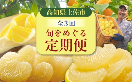 【3回定期便】文旦バラエティ定期便 お気軽コース〈水晶文旦・温室文旦・土佐文旦〉 / 文旦 ぶんたん ブンタン 土佐文旦 水晶文旦 温室文旦 柑橘 フルーツ 果物 くだもの 定期便【白木果樹園】 [BQAI060]