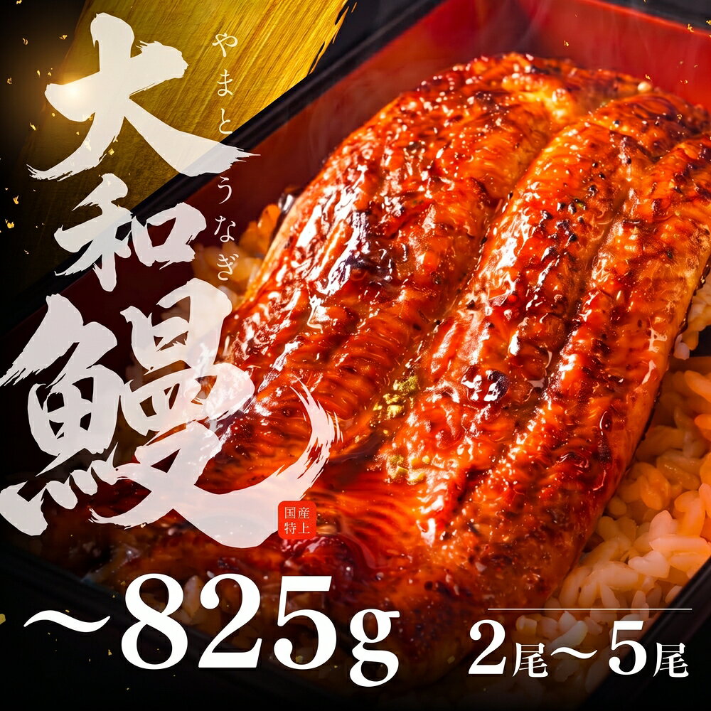 【ふるさと納税】高評価★4.5! 大和鰻 選べる 2尾～5尾 うなぎ 蒲焼 鰻 うなぎ蒲焼 国産 2尾 5尾 冷凍 惣菜 人気 ランキング 高級 美味しい 土用 丑の日 年末 年始 お正月 大晦日 贈答 ギフト プレゼント 簡単 ひつまぶし うな重 うな丼 長蒲焼 2尾 5尾 愛知県 豊橋市