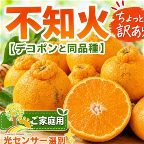 【少し訳あり】こだわりの不知火 約10kg サイズ混合 (nuk010-c-10A)【1755825】