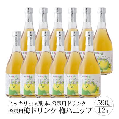 ふるさと納税 上富田町 希釈用梅ドリンク 梅ハニップ 12本セット