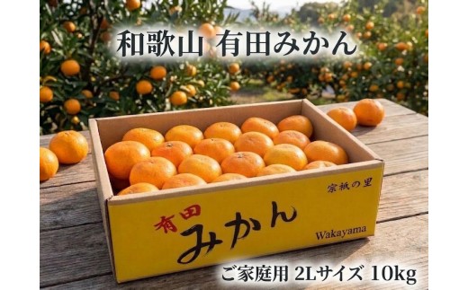 
                  ［ご家庭用・サイズ２Ｌ］和歌山有田産！早生みかん≪10kg≫［予約販売］［数量限定］まる隆果樹園
                