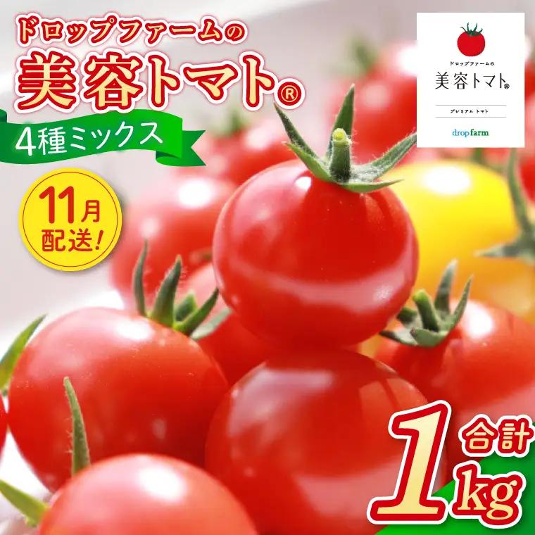 【11月発送】ドロップファームの美容トマトおまかせ1kg箱(４種ミックス)【とまと フルーツトマト 野菜ソムリエ 朝採れ アイコ イエローアイコ 小鈴 フルティカ 野菜 フレッシュ リコピン 大容量 茨城県 水戸市】（CK-107-11）