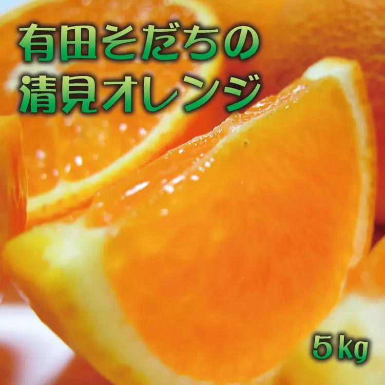 有田育ちの完熟清見オレンジ(ご家庭用)　5kg+200g(補償分)【2027年2月下旬～5月上旬頃に順次発送予定】【ard017C】
