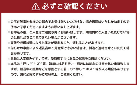 瀬戸ジャイアンツ 2房（1房480g以上） 合計約1kg 化粧箱入り 【2026年9月上旬～10月上旬迄発送予定】 白ぶどう 葡萄 ブドウ ぶどう フルーツ 果物 ギフト 国産 岡山県産