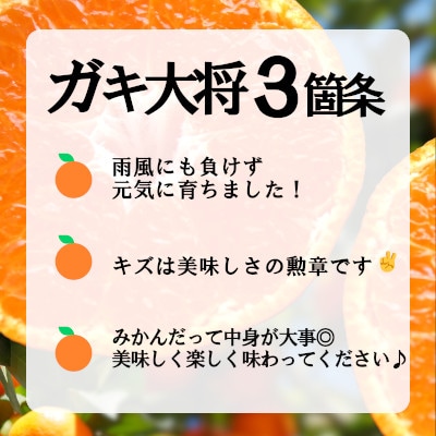 果汁しっかり自然の恵み!「ガキ大将」3kg(小玉サイズ)/日の丸みかん/ご家庭用【C79−16】【1452039】