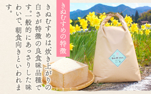 きぬむすめは、炊飯時の白さが特徴の良食味品種です。
一般的に、あっさりしていて朝食向きと言われます。