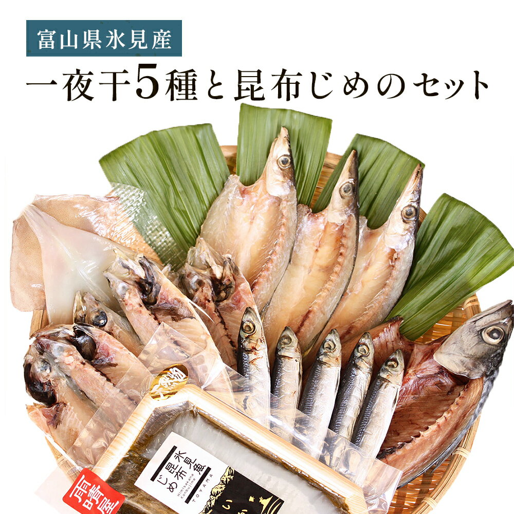 【ふるさと納税】《氷見堀与》 一夜干5種と昆布じめのセット