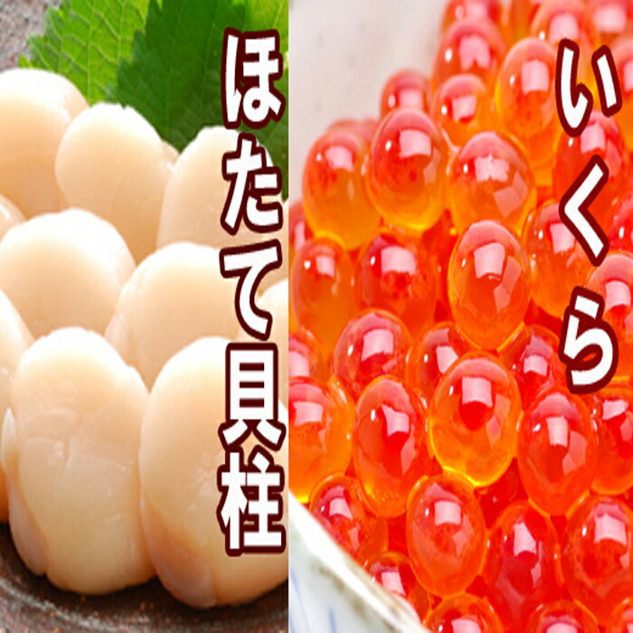 【ふるさと納税】いくら醤油漬け100g×2P、ほたて貝柱500g×2P C-36041
