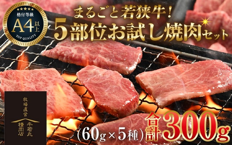 
            まるごと若狭牛！5部位お試し焼肉セット 300g（60g×5種）／ 国産 牛肉 A4 A5 ブランド牛 [aw009-a004]
          
