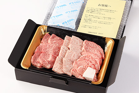 飛騨牛希少部位焼肉セット 計450g（トモサンカク 150g・ミスジ 150g・イチボ 150g）最高級 国産 牛肉 ブランド牛 和牛 【22-28】【冷凍】