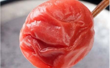 一梅千日しそ風味梅「紅」塩分8% A級品2Lサイズ500g / 和歌山 和歌山県産 紀州南高梅 南高梅 梅干し 梅干 梅 しそ梅 A級品 2L 3L ご飯のお供 【umm024-2L】