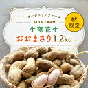 【ふるさと納税】【新豆】農家直送！千葉県産「生落花生」おおまさり1.2kg オーガニックファーム AIBA FARM 生落花生 生らっかせい 生ピーナッツ 落花生 らっかせい 千葉県 富里市 皮付き 殻付き ピーナッツ ぴーなつ 南京豆 TML005