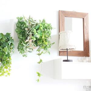 Botanical c.class 19　北欧チーク