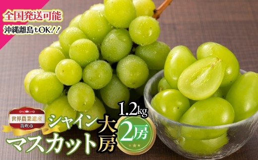 【2026年発送★先行予約】山梨県笛吹市産　シャインマスカット大房2房 1.2kg  223-027-26y