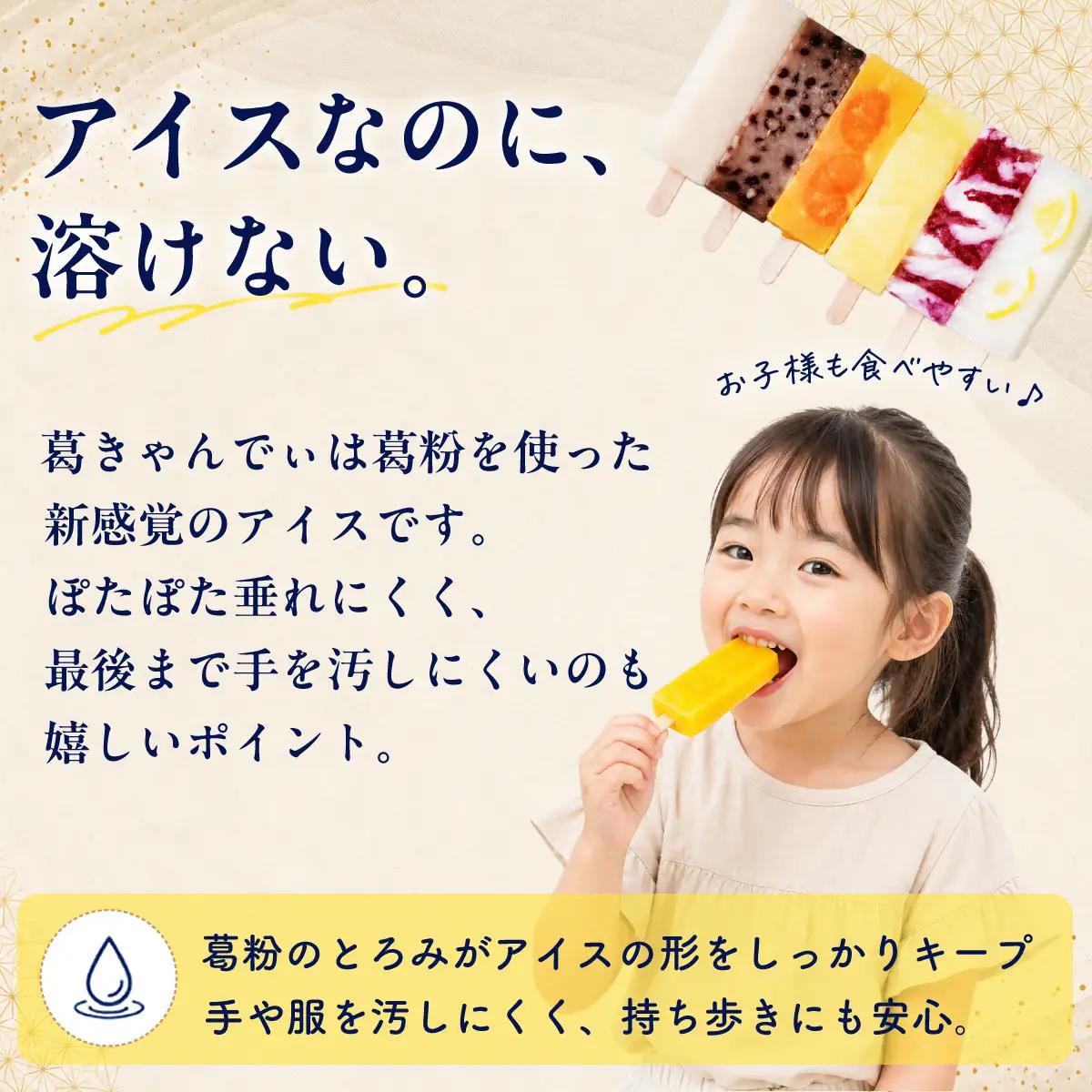 葛バー 葛きゃんでぃ 36本セット 溶けないアイス