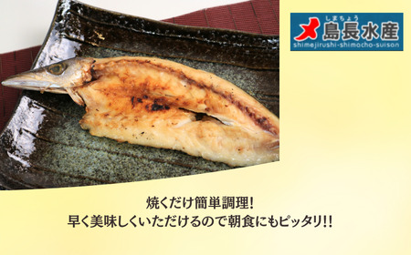 干物 カマス切身干物 4枚 干物