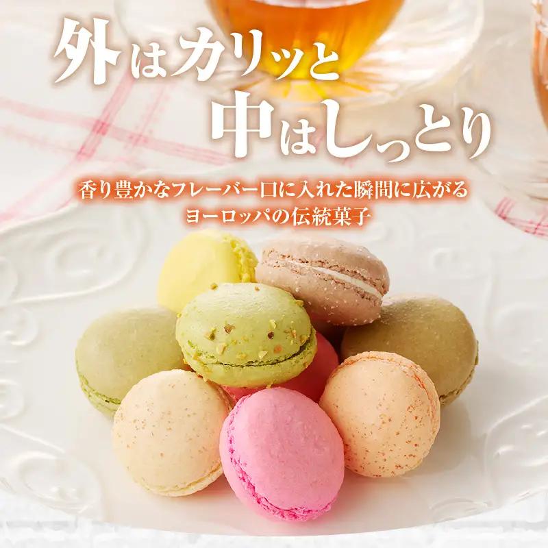 マカロン20個入（20種類）_26-346