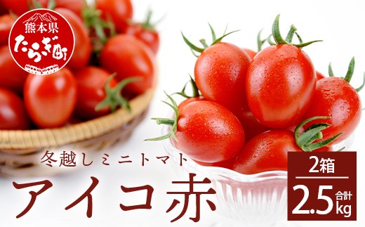 
            甘い！ 熊本県産 ミニトマト「アイコ (赤色)」約2.5kg 国産トマト アイコ とまと 大人気 トマト 多良木町 農園直送 新鮮 フルーツトマト フルーティ 020-0531
          