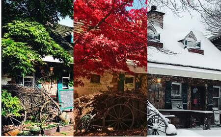 【 定期便 2ヶ月連続お届け 】 紅玉アップルパイ 【冷凍便】 | アップルパイ カントリーキッチンベーカリー